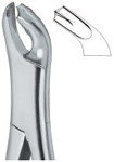 Tooth Ext Forceps Amr