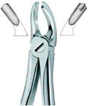 Tooth Ext Forceps