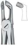 Tooth Ext Forceps