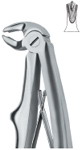 Tooth Ext Forceps